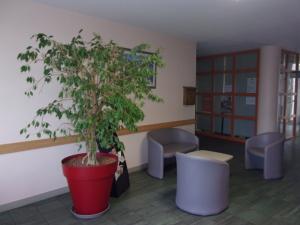 Accueil des patients